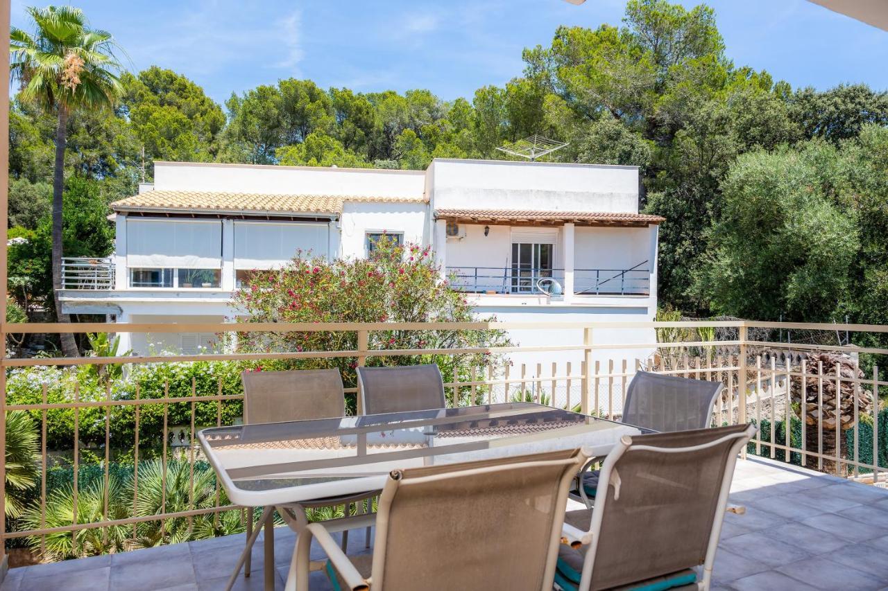 Amapola * Alcudia (Mallorca)